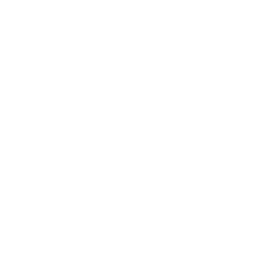 Meat 
